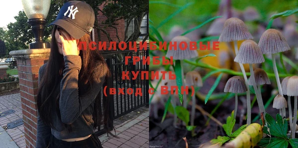 a pvp Арсеньев
