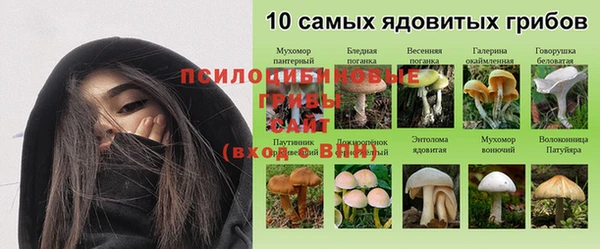 ALPHA PVP Беломорск