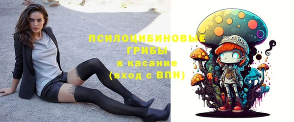 a pvp Арсеньев