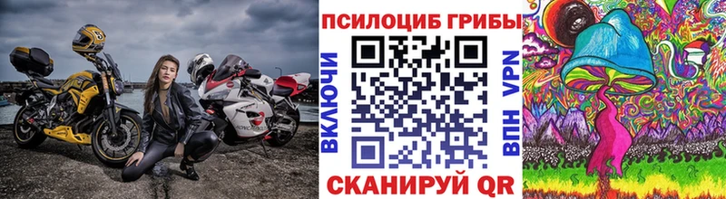 Галлюциногенные грибы мухоморы маркетплейс какой сайт Дорогобуж